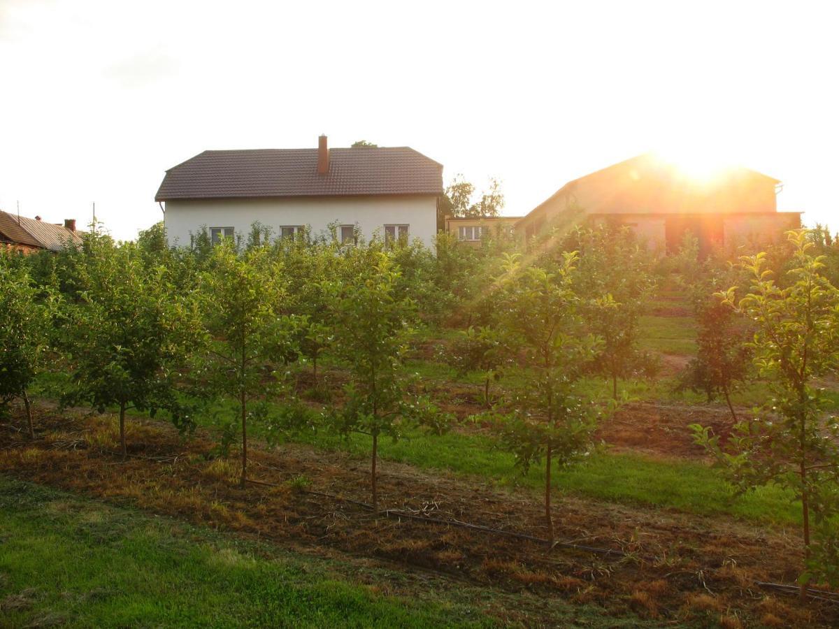 Owocowy Raj Nad Zalewem Villa Modla Krolewska Exterior photo